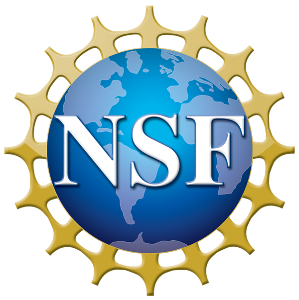 NSF logo